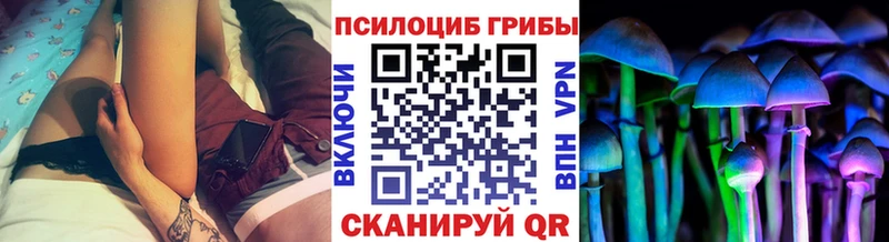 Псилоцибиновые грибы прущие грибы  ссылка на мегу маркетплейс  Сухой Лог 