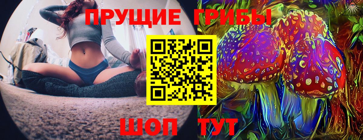 как найти   Галлюциногенные грибы Psilocybine cubensis  Вход с VPN  Сухой Лог 