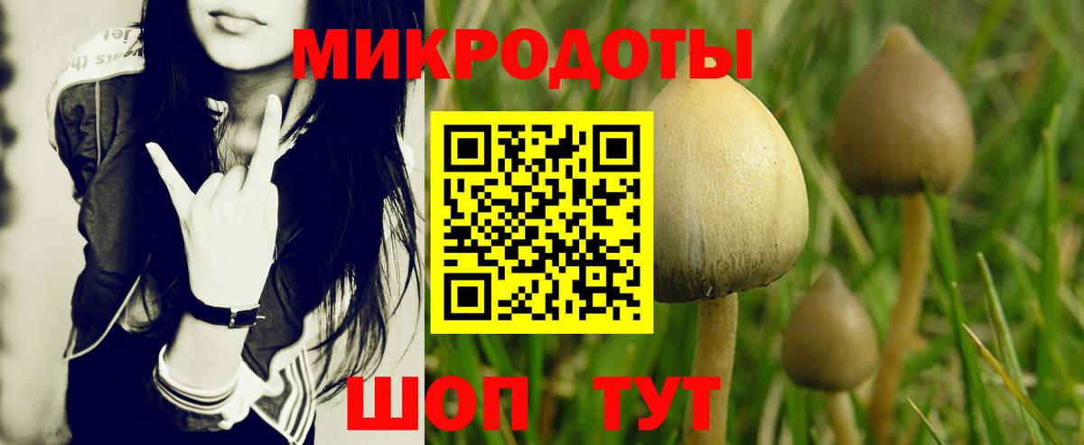 Галлюциногенные грибы мицелий Сухой Лог